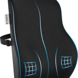 FOVERA Back Support for Chair, Memory Foam Car Seat Back Support, Orthopedic Lumbar Support Back Rest for Back Pain Relief - Back Pillow for Sitting (Mesh Black, small)