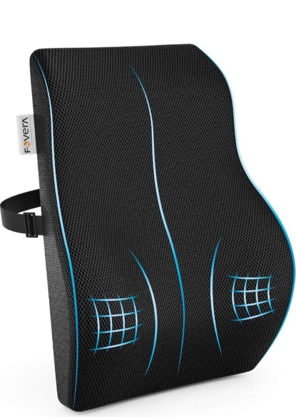 FOVERA Back Support for Chair, Memory Foam Car Seat Back Support, Orthopedic Lumbar Support Back Rest for Back Pain Relief - Back Pillow for Sitting (Mesh Black, small)