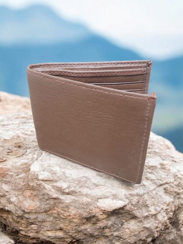 brown Wallet  Black  Men brown Wallet