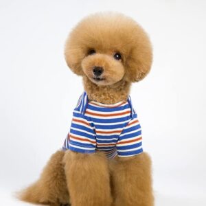 A+a Pets' Soft Cotton T-Shirts for Dogs, Puppies & Cats (XXL, Blue) (2586)