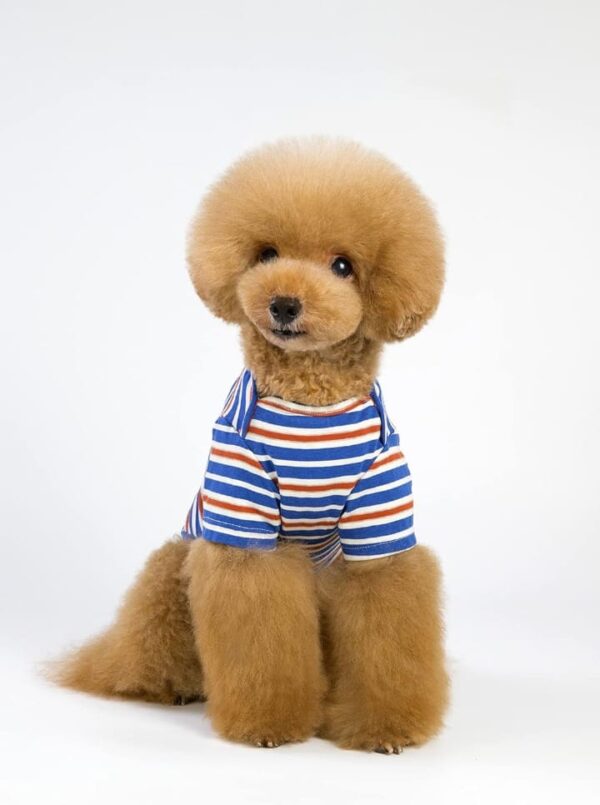 A+a Pets' Soft Cotton T-Shirts for Dogs, Puppies & Cats (XXL, Blue) (2586)