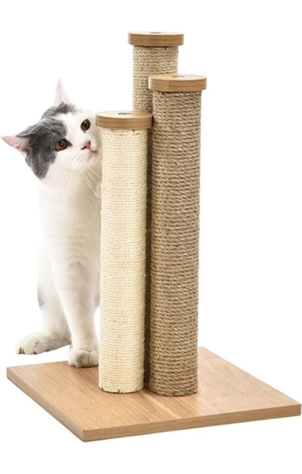 Amazon Basics Premium Cat Scratching Post - Large, Brown HANGING WALI BALL NHI HAI  (2588,2589) - Image 4