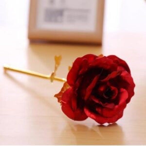 Valentine Day Love You Red Rose & Card Gift for Girlfriend, Boyfriend, Lover, Couples, Husband, Wife | Birthday | Valentines Day | Anniversary (2206)