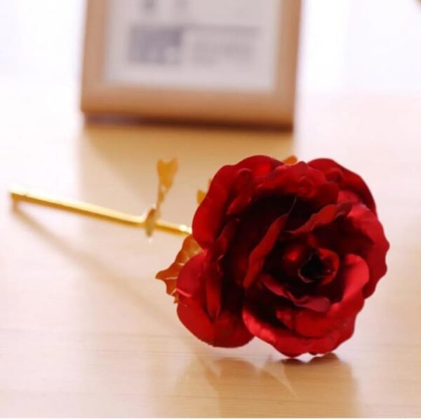 Valentine Day Love You Red Rose & Card Gift for Girlfriend, Boyfriend, Lover, Couples, Husband, Wife | Birthday | Valentines Day | Anniversary (2206)