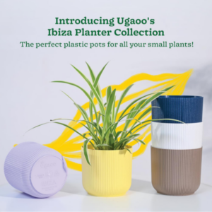 UGAOO Ibiza Pots for Home Planters, Decor, Garden Multicolour | Suitable for Home Indoor & Outdoor Gardening Plants (Ibiza Pots Pack of 10) ( 8223)(8224) (p)