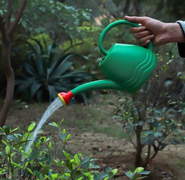 Klassic Watering Can (1.8L)| Plastic Green Water Can with Sprayer for Plants/Garden | Indoor Outdoor Watering Shower Can | Sprinkler for Plants | Watering Hand Bottles for Garden | Water Spray Can. N.8148. 8149. 8150. 8151. ( vivek) - Image 3