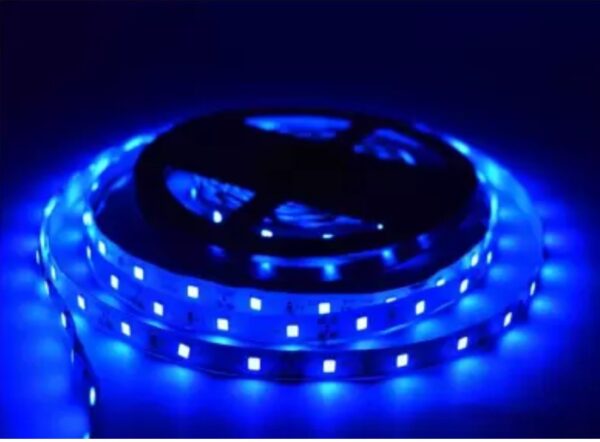 Home Delight 197 inch Blue Rice Lights. N p.k. ( vivek)