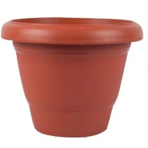 Plastic Flower Pots, Set of 5, 8-inch Opening, Indoor and Outdoor Use, BrownRajender ( Amit 1234 )