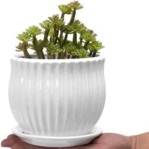 Garden Art Ceramic Pot (17x17x14cm/14x14x11.5cm/10.3x10.3x8.7cm) with Drainage Holes,Round Indoor Pot for Plants Ceramic Planters with Saucer,Outdoor Garden Pots GA11003-W

Rajender 0102
