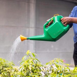 Go Hooked Watering Can (5L) | Indoor Outdoor Watering Shower Can | Plastic Green Water Can with Sprayer for Plants/Garden | Watering Hand Bottles for Garden | Water Spray Can | Sprinkler for Plants(7597) ( 7734) (7704)