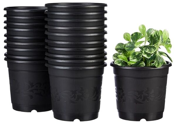 Amazon Brand - Solimo 100% Virgin Plastic Round Nursery Planter Pot|Indoor and Outdoor Flower Pot for Home/Office/Table/Garden/Balcony Decoration|6 Inch(Set of 20),Black  ( 1 piece damage)(8178)
