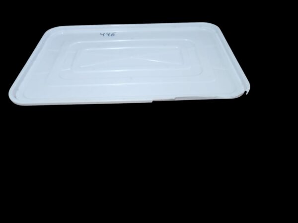 Elevea Kitchen Organizer Rack with Water Storing Tray/Dish Rack (CRACK HAI AS SHOWN IN PIC) - Image 3