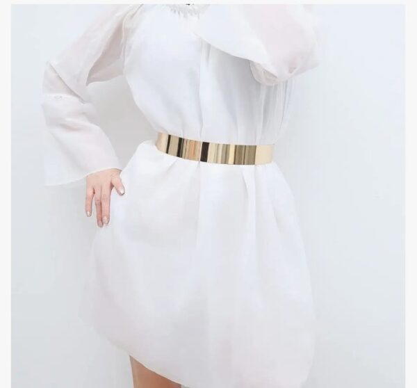 Shining Diva Fashion Celebrity Inspired Adjustable Metal Kamarband Waist Belt
(10630) SHANI - Image 4