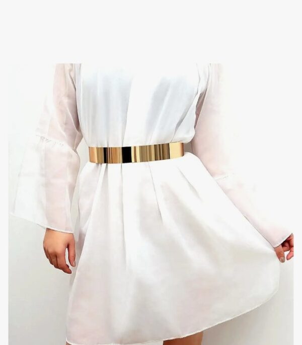 Shining Diva Fashion Celebrity Inspired Adjustable Metal Kamarband Waist Belt
(10630) SHANI - Image 6