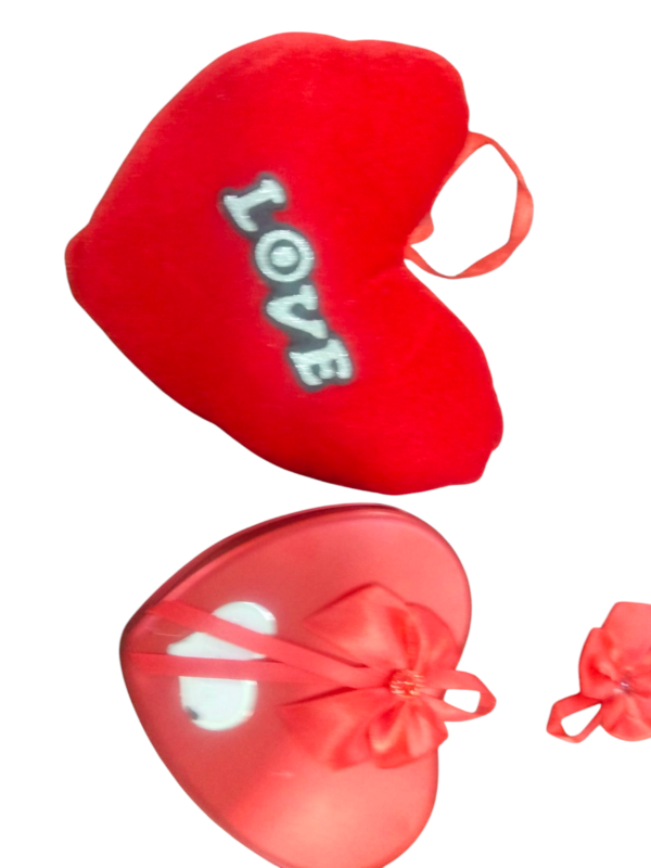 Zarkan Red Heart Shape Box with Teddy and 3 Rose for Gift - Gift Box for Women and Men/Girlfriend and Boyfriend Him or Her

Rajender. 0120
combo - Image 2