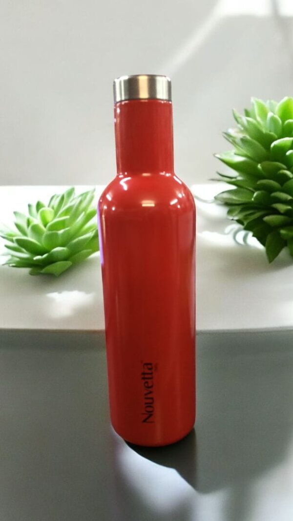 Nouvetta Vaccum Steel (NB-19097)(V) Red colour
