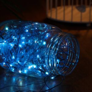 Home Delight  3.99 m Blue Steady Strip Rice Lights  (Pack of 5) (8316)(P)