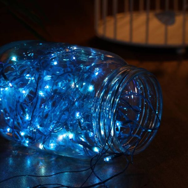Home Delight  3.99 m Blue Steady Strip Rice Lights  (Pack of 5) (8316)(P)
