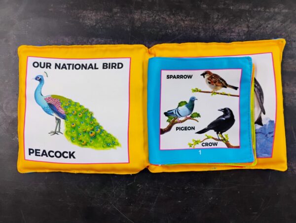 MY FIRST BOOK OF BIRDS (P) - Image 3