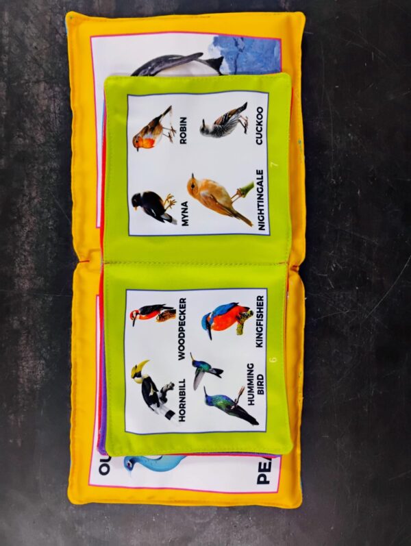 MY FIRST BOOK OF BIRDS (P) - Image 4