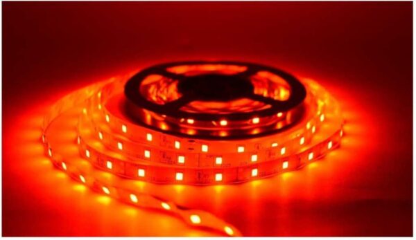 Home Delight  Red Steady Strip Rice Lights (Pack of 1)(RED)