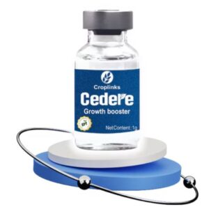 Cedre