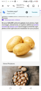 Fresh potato