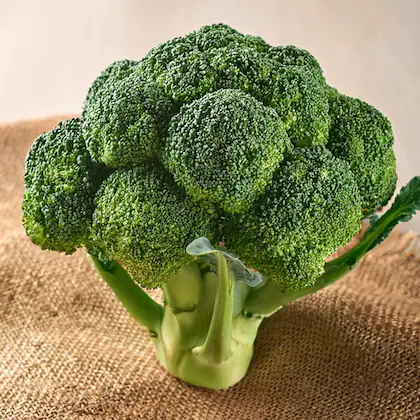 Broccoli (Approx 200 g - 350 g)