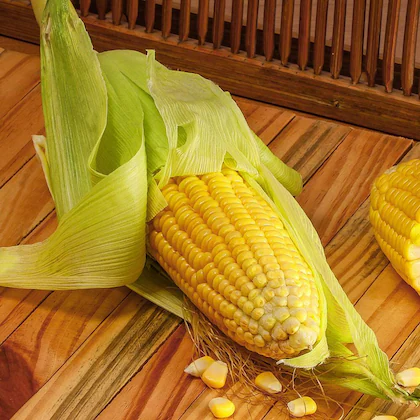 Sweet Corn 1 pc