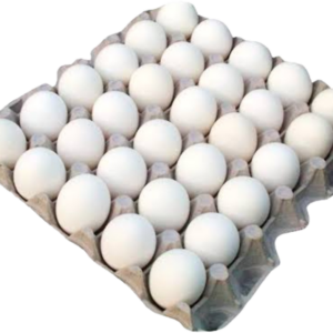 Egg Regular - Tray