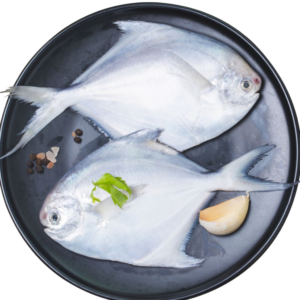 Pompfret - 1 Kg