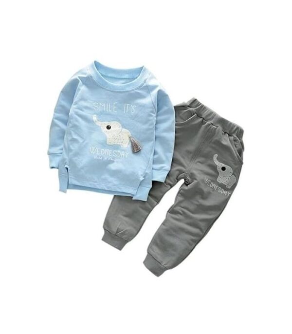Baby's Tshirt Pant Set