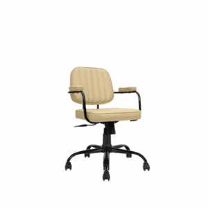 Study Chair