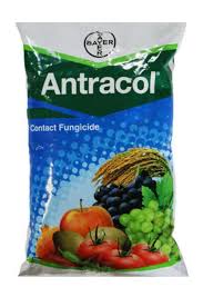 BAYER Antracol– Propineb 70%