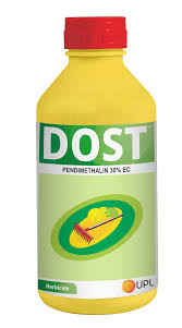 UPL Dost Pendimethalin 30% EC Herbicide