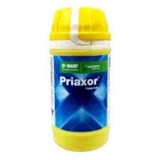 BASF Priaxor Fungicide