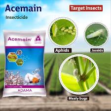 Acemain Insecticide Acephate 75% SP- Controls Sucking & Chewing Pests