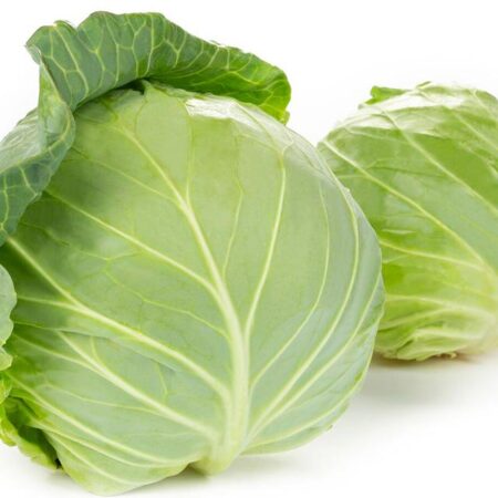 CABBAGE/PATTAGOBHI/पत्ता गोभी