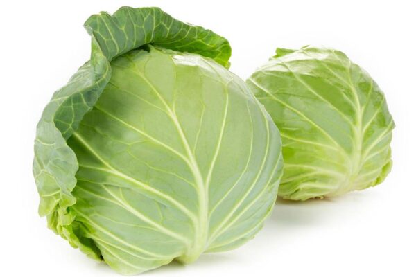 CABBAGE/PATTAGOBHI/पत्ता गोभी