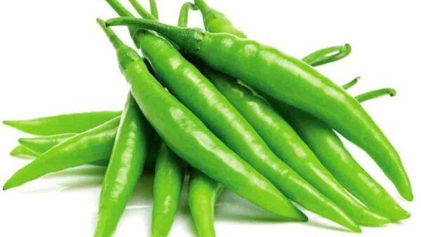 GREEN CHILLY/HARA MIRCH/हरी मिर्च