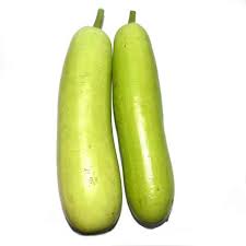 GOURD/LAUKI/ लौकी