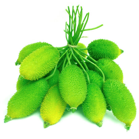 SPINE GOURD/PARORA/परोरा