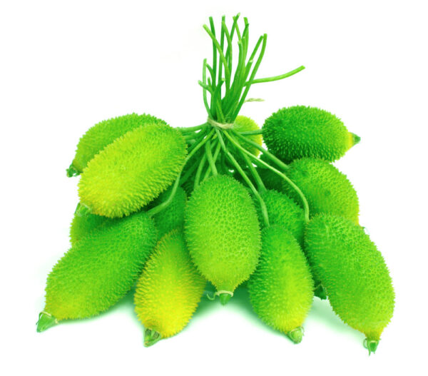SPINE GOURD/PARORA/परोरा