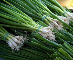 SPRING ONION/PYAZ PATTA/हरी प्याज