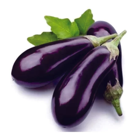 BRINJAL/BAIGAN/बैंगन