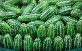POINTED GOURD/PARWAL/परवल