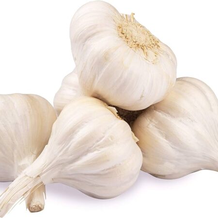 GARLIC/LAHSUN/लहसुन