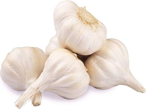 GARLIC/LAHSUN/लहसुन