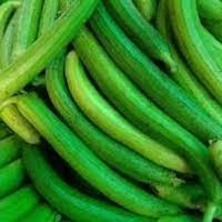 SPONGE GOURD/GILKI/गिलकी