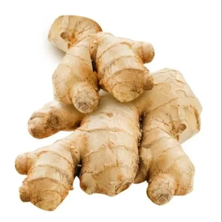 GINGER/ADRAK/अदरक